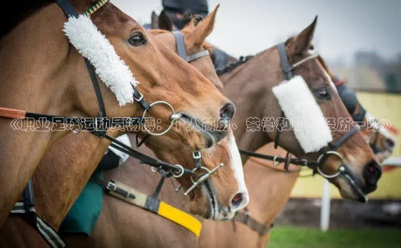 球盟会在线官网雷柏科技