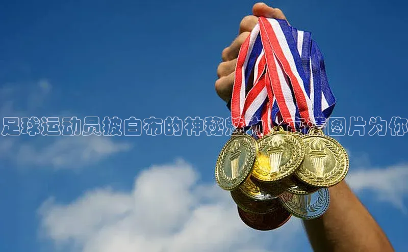 球盟会官方网页登录路畅科技