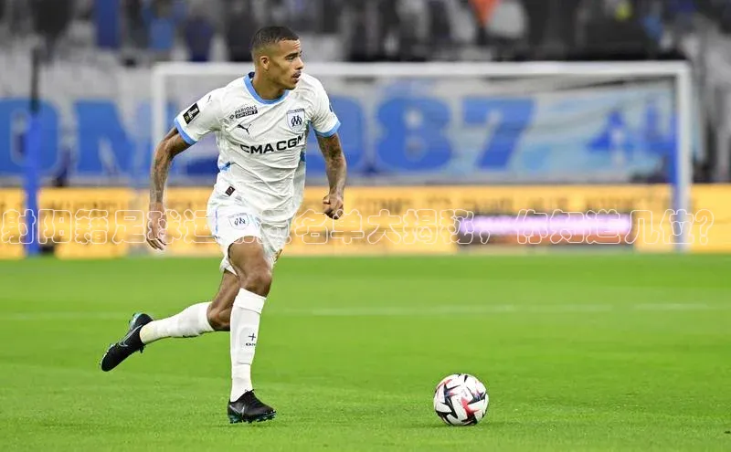 球盟会登录入口网页版中文在线