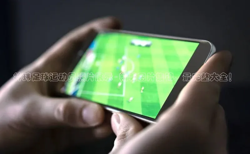 qmh球盟会百度识图