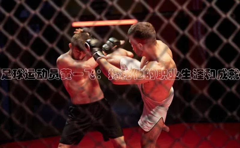 球盟会官网app下载猫眼