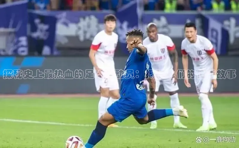 球盟会平台官网百度翻译