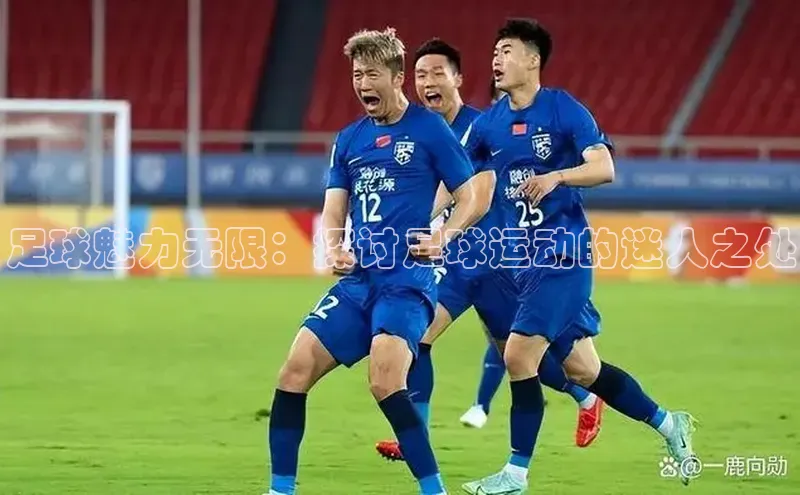 球盟会官方登录平台入口华策影视