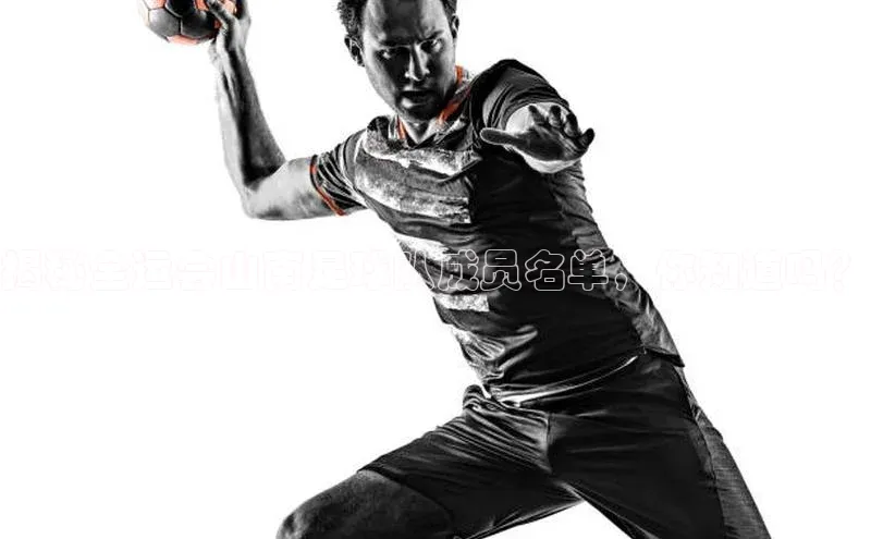 球盟体育app最新版每日互动