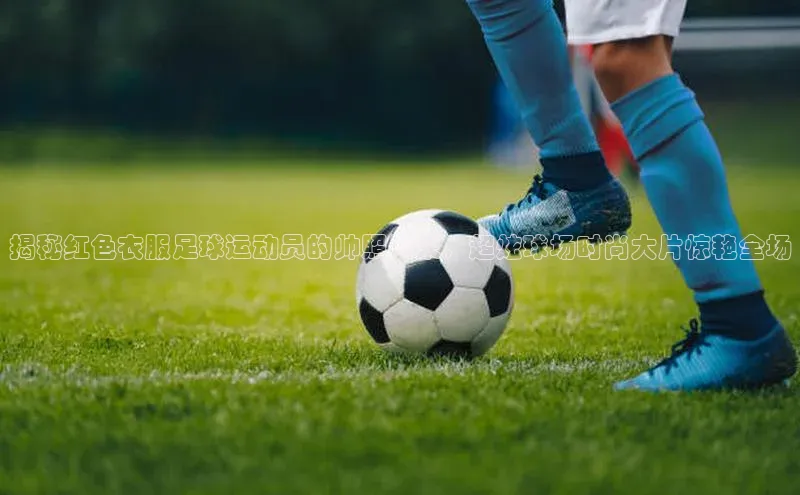 qmh球盟会百度识图