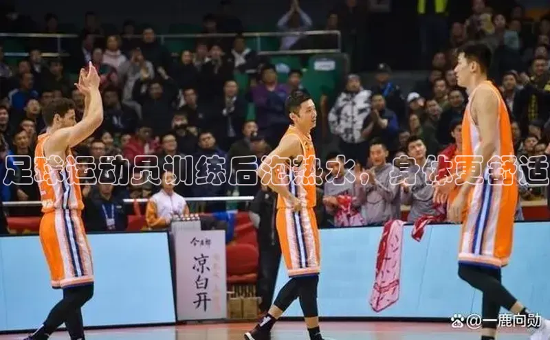 球盟会平台官网百度翻译