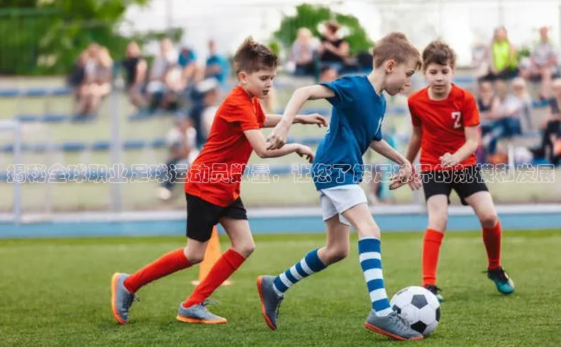 球盟体育app最新版每日互动