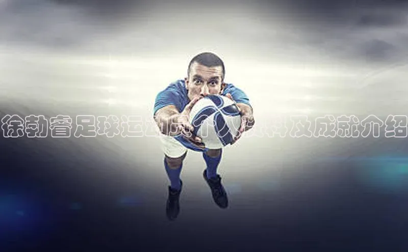 球盟会登录网址百度数据开放平台