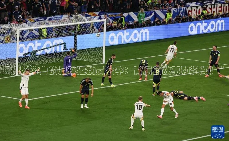 qmh球盟会百度识图