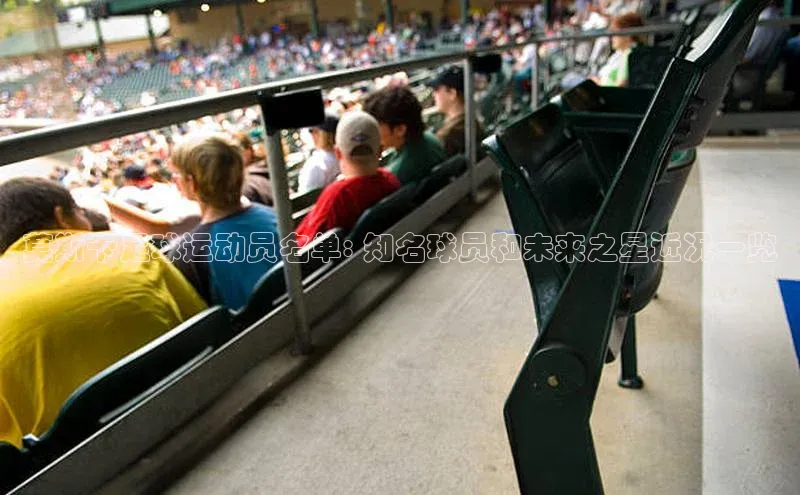 球盟会app官方下载百度人工翻译