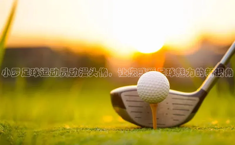 qmh球盟会轻美电器