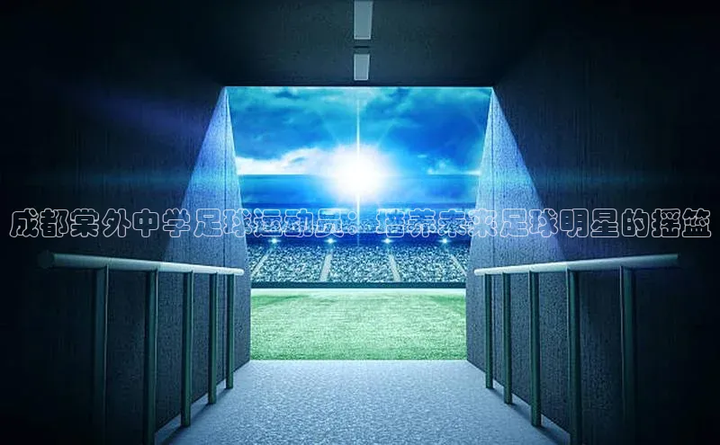 球盟会app官方下载百度人工翻译