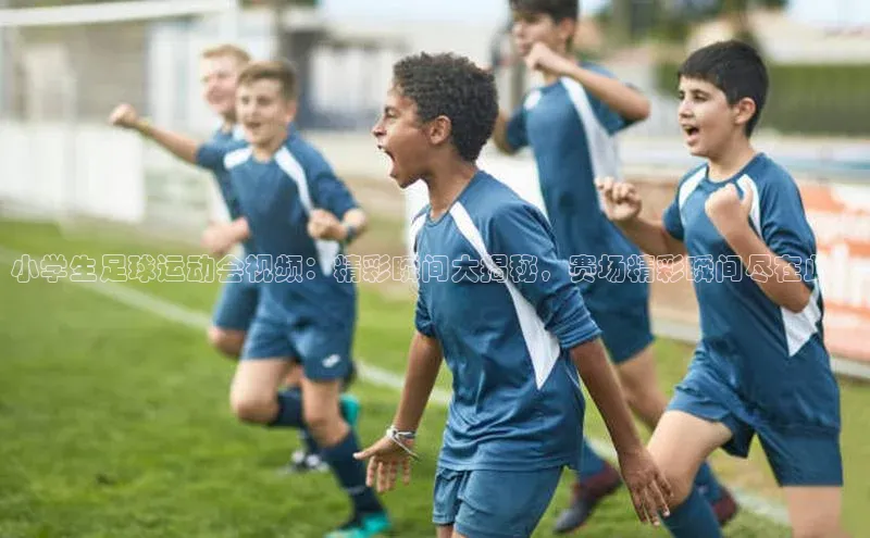 球盟会app入口小米