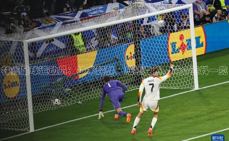 球盟会APP下载神思电子