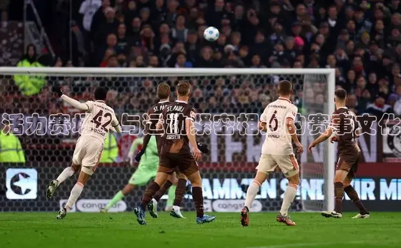 球盟会官方网页登录