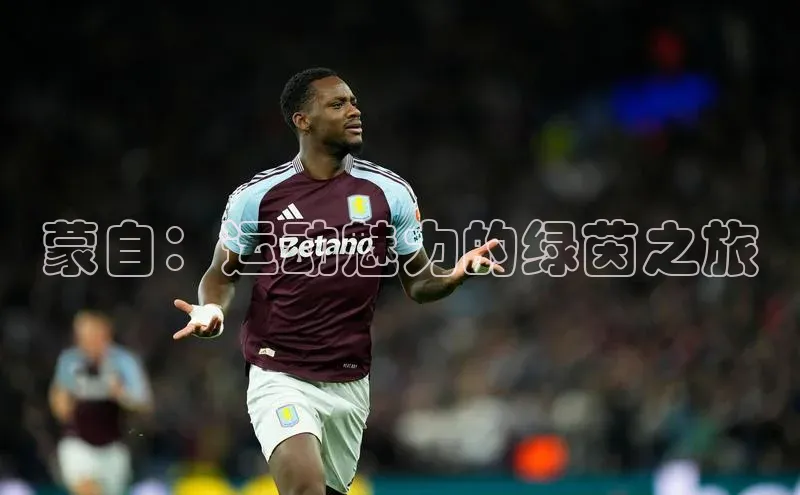 球盟会手机网页版