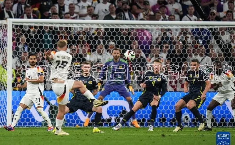 球盟会官方网页登录