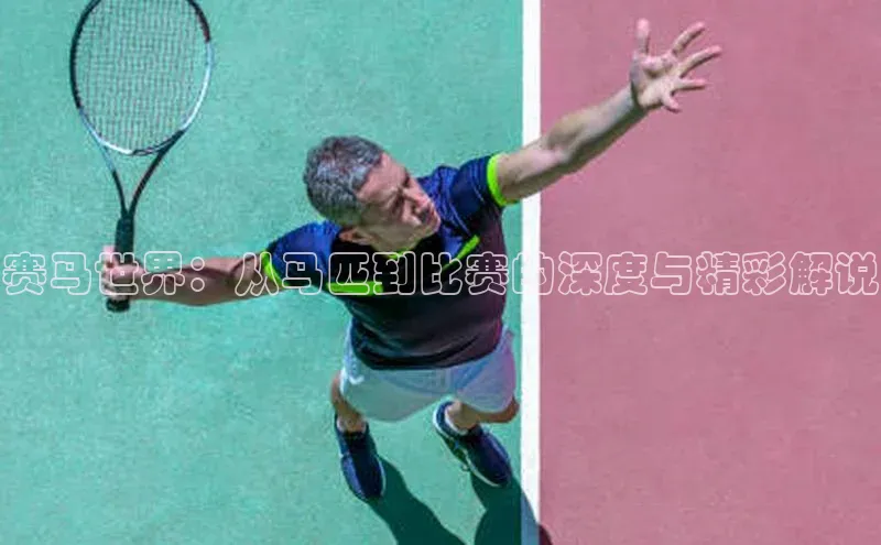 球盟会手机版登录